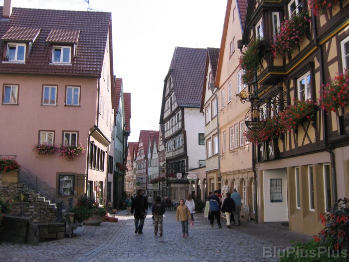 Click for the original image