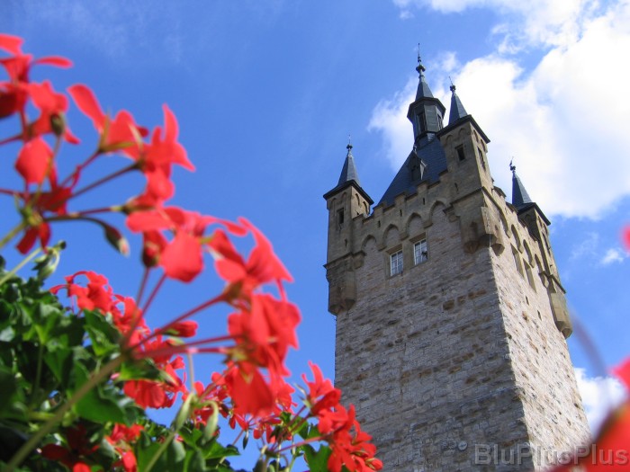 Click for the original image