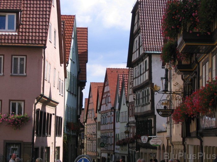 Click for the original image