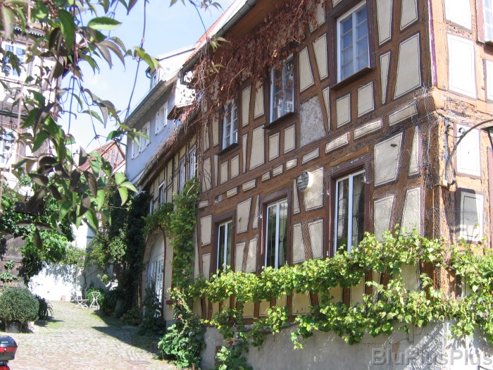 Click for the original image