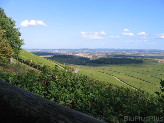 Click for the original image