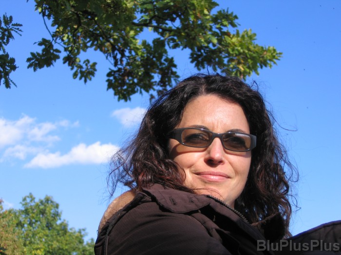 Click for the original image