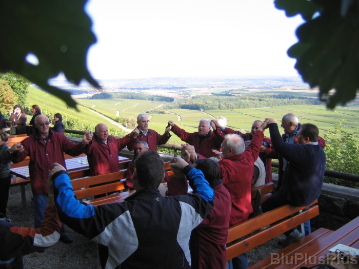 Click for the original image