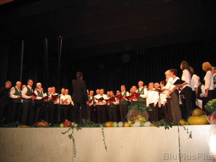 Click for the original image