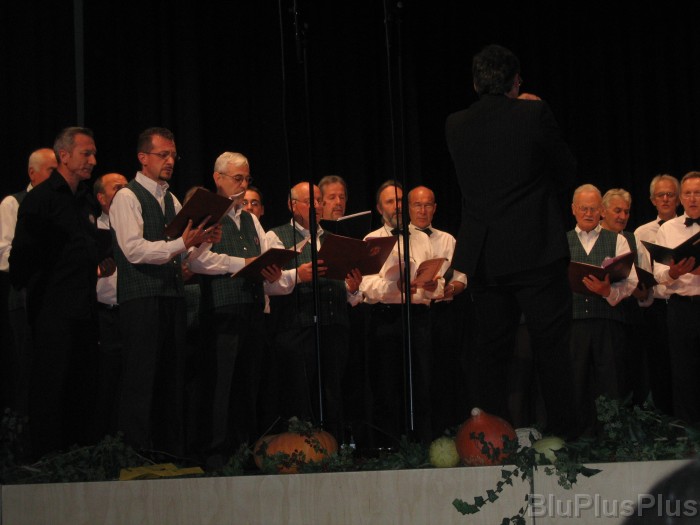 Click for the original image