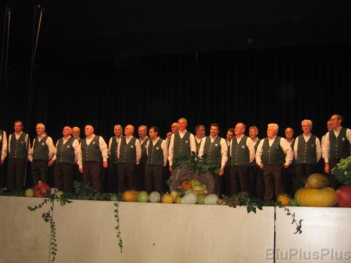 Click for the original image