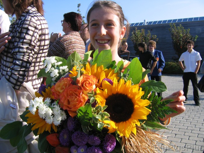 Click for the original image