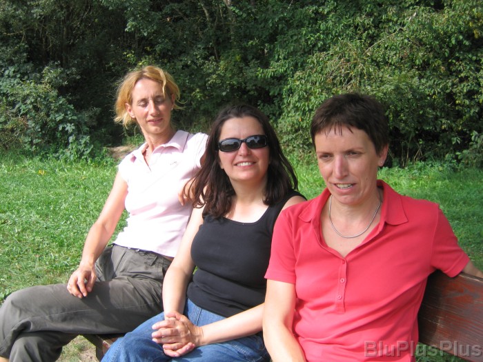 Click for the original image