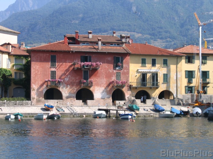 Click for the original image