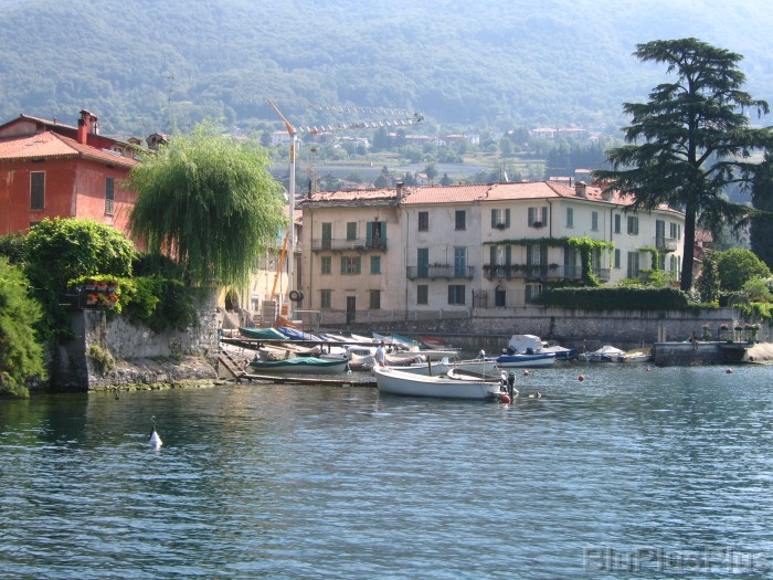 Click for the original image