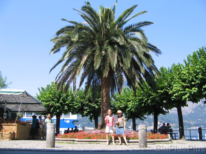 Click for the original image