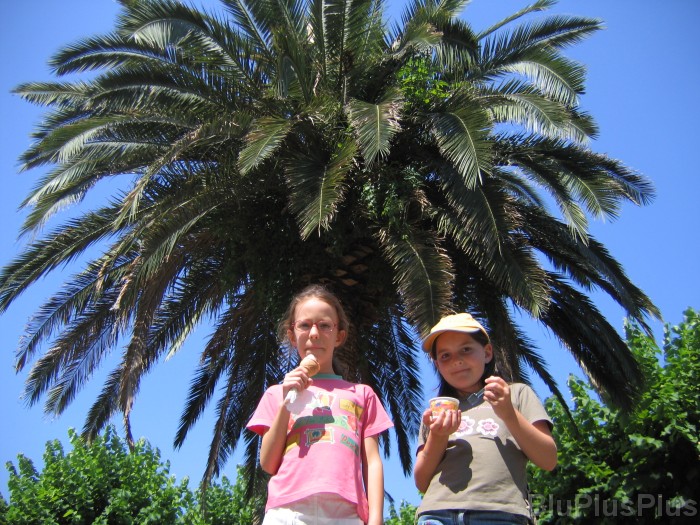 Click for the original image