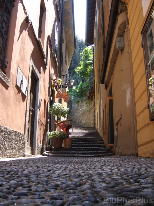 Click for the original image