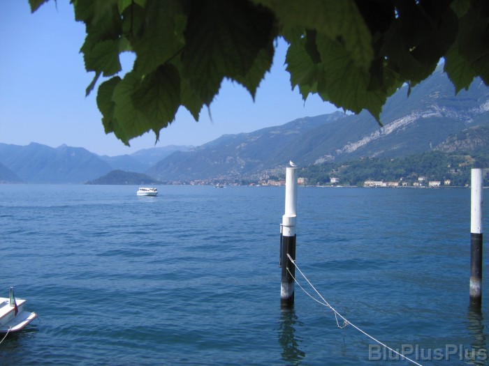 Click for the original image