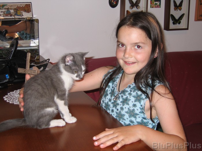 Click for the original image