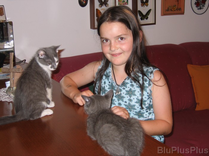 Click for the original image