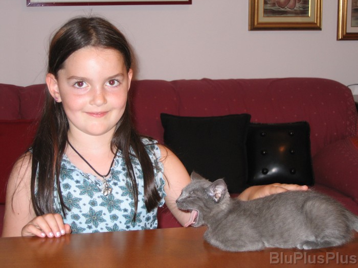 Click for the original image