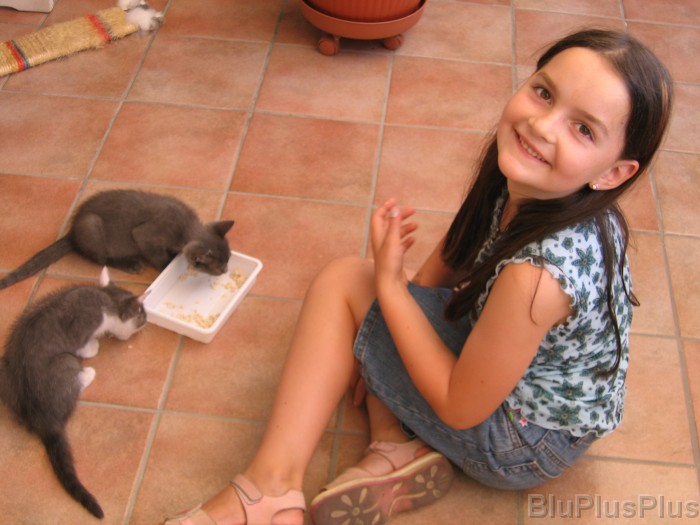 Click for the original image