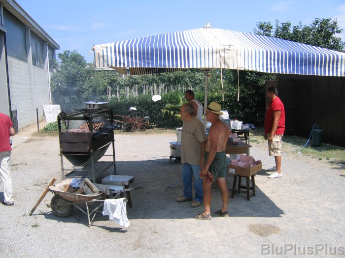 Click for the original image