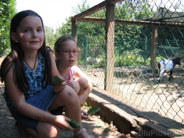 Click for the original image