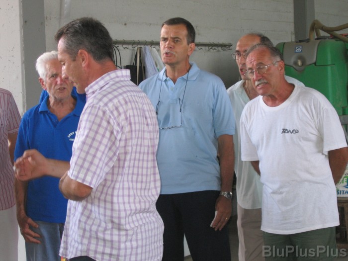 Click for the original image