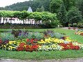 img_2342.jpg